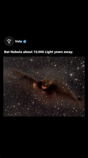 Stellar Graveyard Shaped Like a Bat
