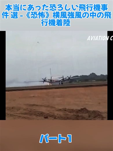 本当にあった恐ろしい飛行機事件 選 -《恐怖》横風強風の中の飛行機着陸 1#空の旅 #飛行機 #着陸 #tiktokjapan #AVIATIONCLUBJP #fyp #foryou