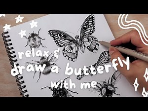 How to Draw a Realistic Butterfly With a Pen // Follow Along Drawing Process :)