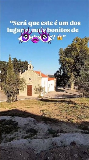 BRACA #portugal #porto #viral #highlights #fyp