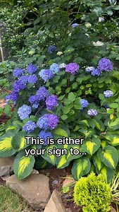 39 reactions · 13 comments | if you’re frustrated that your...