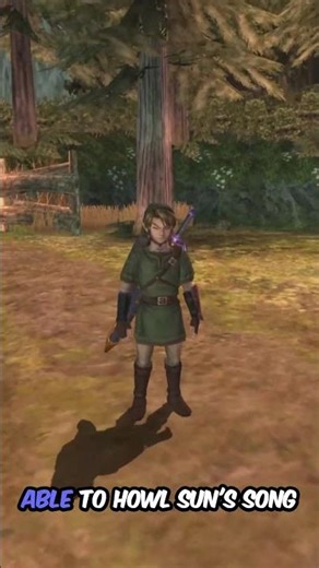 The Zelda: Twilight Princess PC Port Is HERE!!