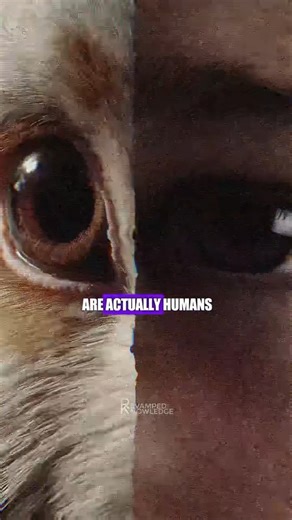 Why do pigs have human eyes? Video made for entertainment purpose only | Revamped Knowledge