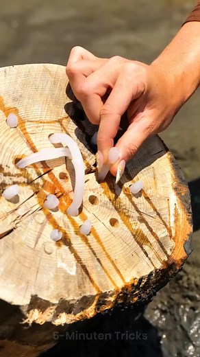 Die geheimen Materialien, die Bäume liefern | 5-Minuten Tricks