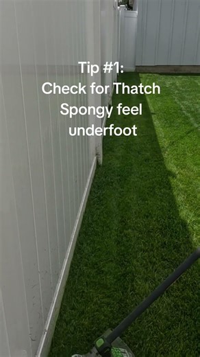 How to Dethatch for Spring ⚡ – Simple Lawn Care Tips for Homeowners #Dethatching #SpringLawnCare