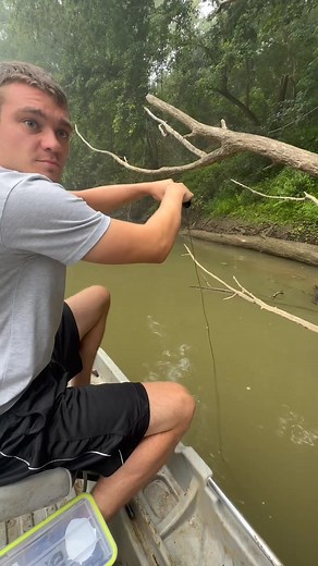 26K views · 450 reactions | Catching Catfish in the River! #jesus #graygang | Jatie Vlogs | Facebook