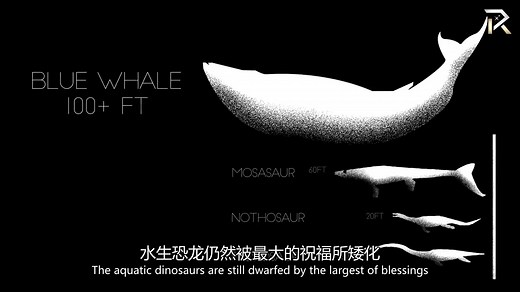 【你不知道】科学家发现“ The Bloop”背后的真实生物