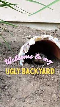 Let’s make a toad house! 🐸 #toadhouse #backyard #sustainability #diy #upcycle