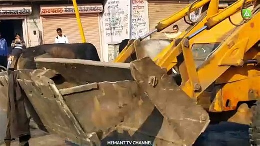 Bull fight funny video 2