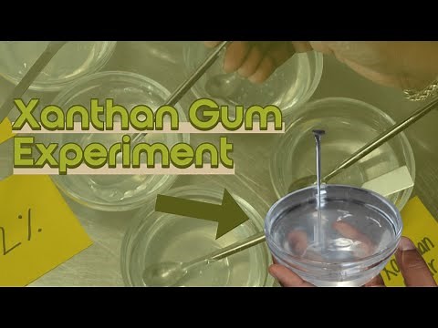 Xanthan Gum Experiment: Testing Out Three Different Types of Xanthan Gum (Soft, Clear, and Regular)