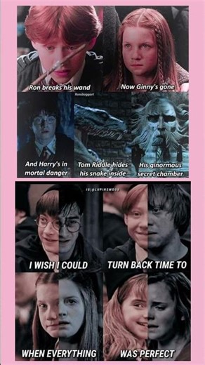 Wish I Could Turn Back Time… 💔 Harry Potter Dark Truth Edit” #explorepage #hermionegranger