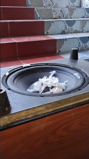 DON'T BUY A SUB Until You See This! 12 Bose Subwoofer Deep Bass Test & Review #nghia #dj #basstest