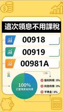 好爽不用課稅！00918、00919、00981A配息全部來自資本利得！#shorts #存股 #被動收入 #投資