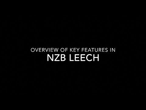 Nzb Leech - overview of the android usenet client