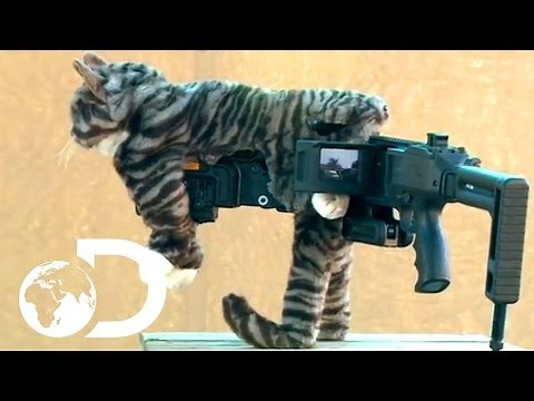 Craziest Military Weapons | Future Weapons