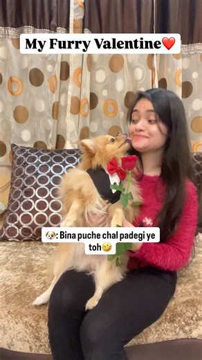 My Furry Valentine❤️🥹#puppy #dog #valentinesday #shorts #viral #ytviral #ytshorts #viralvideo #yt