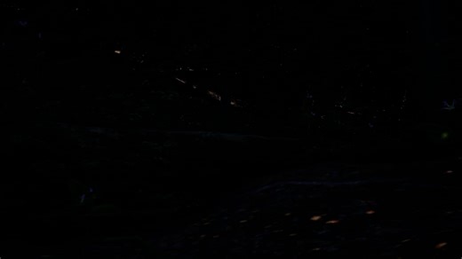 Export avec Sound Design