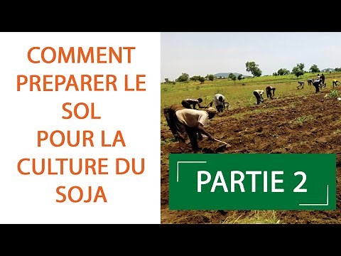 comment préparer le sol pour le semis du Soja PARTIE 2