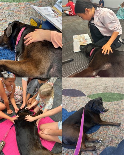 1.9K views · 83 reactions |  In Loving Memory of Daisy Mae  We are...