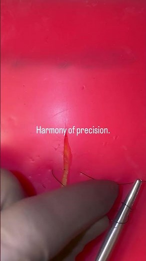 Simple Suturing, Extreme Precision | Surgical Art in Motion