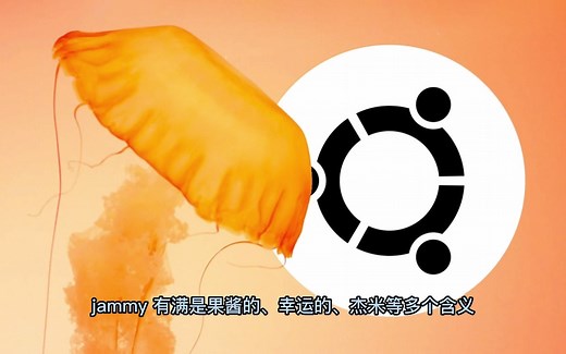 Linux Ubuntu（乌班图） 系统起名（命名）那些有趣的事