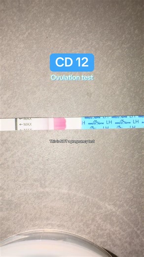 Ovulation Test Insights on Cycle Day 12