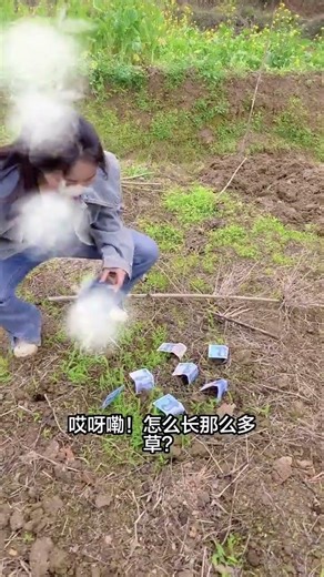 Watch the Magic! DIY Transformer & Rice Farming Season Unveiled