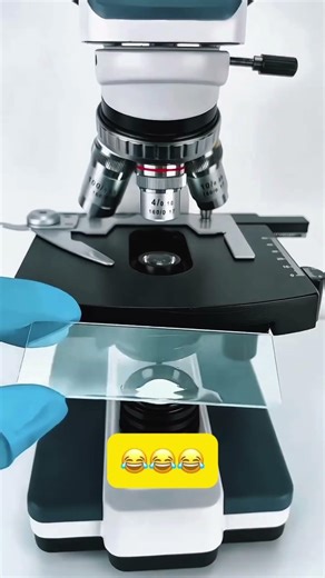 Ye Din Kab Ayega 😔🤣 #funny #2idiotslife #comedyshorts #newfunny #justfun #funnyvideo #ytshorts