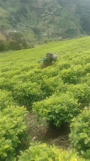 1.6K views · 18 reactions | +573043511427Quienes van a entrar ?...