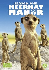 Meerkat Manor Season 1 - watch episodes streaming online