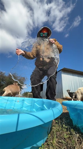 how many days till spring? 🤣 #homestead #goats #burr