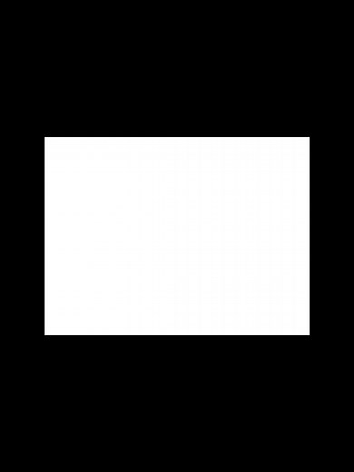 Weasel joyride! #thetoonpatrolweasels #thetoonpatrol #whoframedrogerrabbit