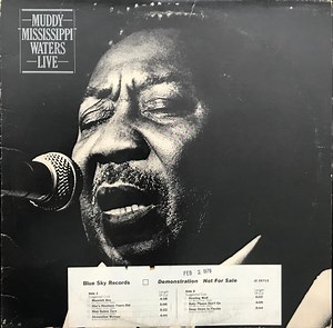 Muddy Waters - Muddy "Mississippi" Waters Live