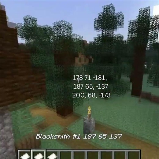 The Perfect Seed For Minecraft Java Edition! #minecraft #gaming #minecraftseeds
