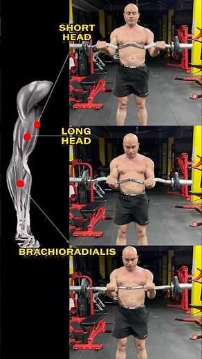 👉 EZ Bar Bicep Curl: Short Head vs Long Head vs Brachioradialis (Build Complete Arms!) 💪#shorts