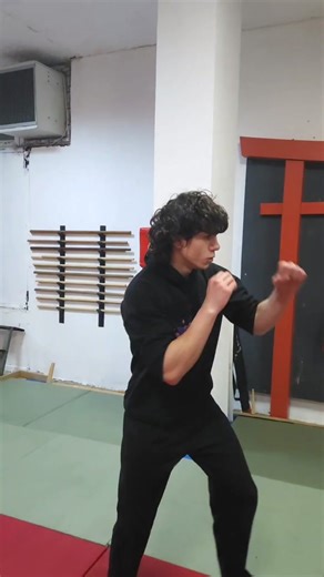 Martial Arts Training Techniques for Beginners