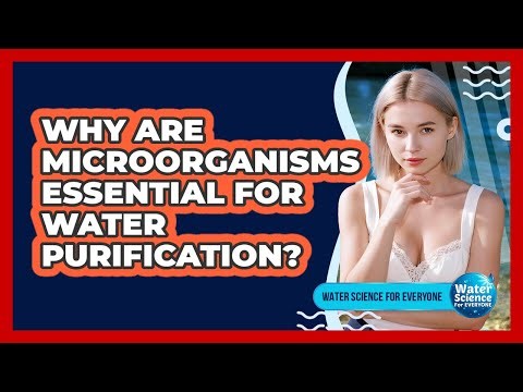 Why Are Microorganisms Essential for Water Purification?