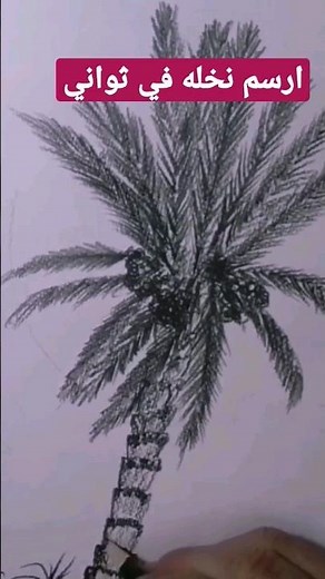 رسم نخلة . خطوات رسم النخيل