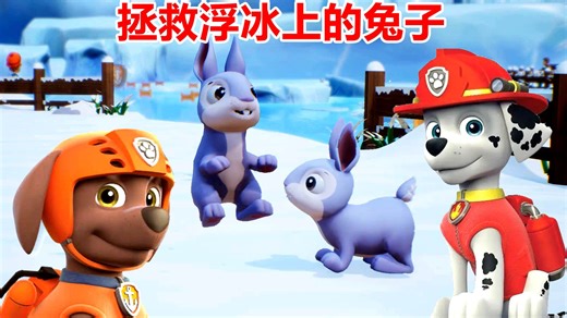 汪汪队立大功世界：杰克欢迎珠珠回到雪山，狗狗拯救浮冰上的兔子