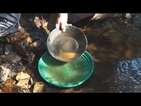 Prospecting for Gold in Montana