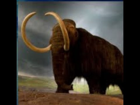 phighting scrims 18 | experimental patch | 1-3 | hyper x2 - slingshot - boombox - medkit | 16/1/2026