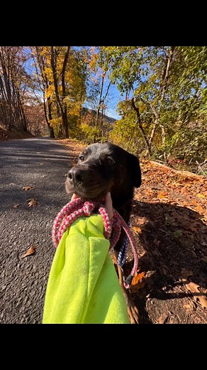 19K views · 371 reactions | 4 years & counting. time for zero to get...