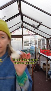 170K views · 28K reactions | Petit tuto de derrière les fagots pour faire pousser de l’ail sur ton balcon 龍 . . . . #jardinage #potager #agricultureurbaine #ail #tuto #plantes | Ta Mère Nature | Facebook