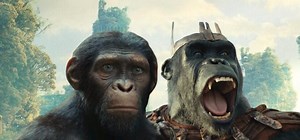 La Planète des Singes 4 : une bande-annonce épique qui donne très envie pour le Royaume