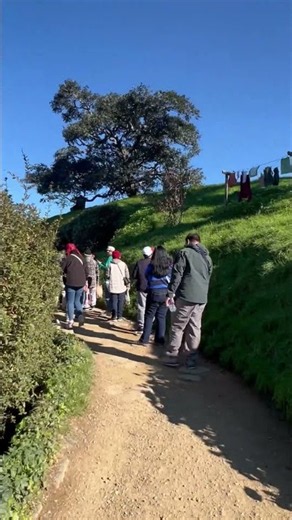 Hobbiton Movie Set Tour