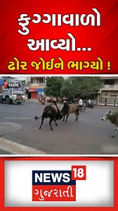 1.1M views · 10K reactions | દાહોદમાં ફુગ્ગાવાળો આવ્યો... ઢોર જોઈને ભાગ્યો ! #Dahod #Gujarat #DahodNews #News18Gujarati #StrayCattleTerror #TVOriginal #BreakingNews | News18 Gujarati | Facebook