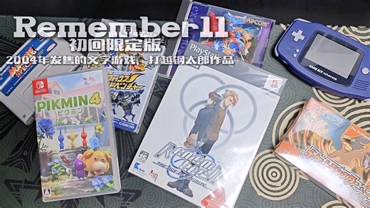 和我一起沉浸式收藏 1【Remember11】