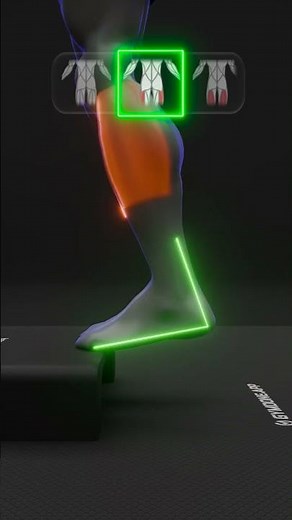 BENT-KNEE CALF RAISE — ELEVATED FOREFOOT