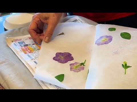 あさがおプロジェクト アイロン押し花の作り方