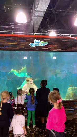 Fin-Tastic Day Mermaid Tail Swim at Blue Zoo Aquarium